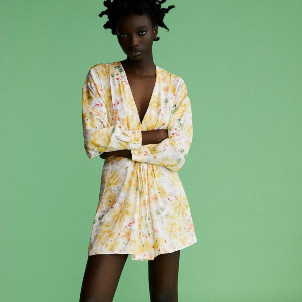Zara Floral Print Dress